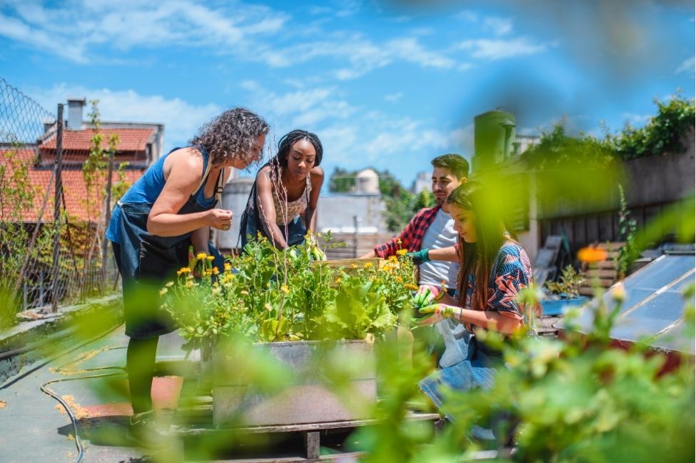 Four people tending planted beds in a rooftop garden above city buildings on a sunny day.